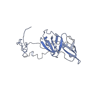 12631_7nwg_A3_v1-2
Mammalian pre-termination 80S ribosome with Hybrid P/E- and A/P-site tRNA's bound by Blasticidin S.