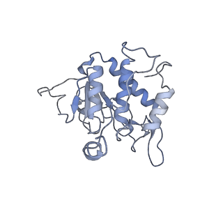 12631_7nwg_B2_v1-2
Mammalian pre-termination 80S ribosome with Hybrid P/E- and A/P-site tRNA's bound by Blasticidin S.