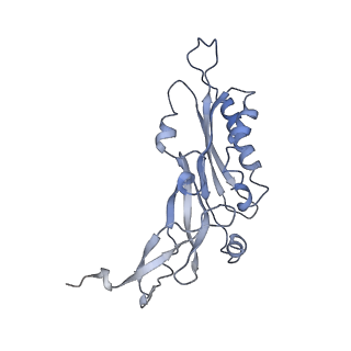 12631_7nwg_C2_v1-2
Mammalian pre-termination 80S ribosome with Hybrid P/E- and A/P-site tRNA's bound by Blasticidin S.