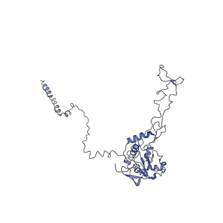 12631_7nwg_C3_v1-2
Mammalian pre-termination 80S ribosome with Hybrid P/E- and A/P-site tRNA's bound by Blasticidin S.