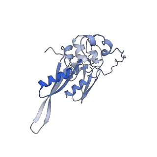 12631_7nwg_D2_v1-2
Mammalian pre-termination 80S ribosome with Hybrid P/E- and A/P-site tRNA's bound by Blasticidin S.