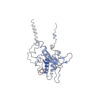 12631_7nwg_D3_v1-2
Mammalian pre-termination 80S ribosome with Hybrid P/E- and A/P-site tRNA's bound by Blasticidin S.