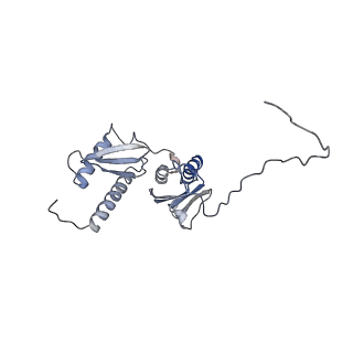 12631_7nwg_E2_v1-2
Mammalian pre-termination 80S ribosome with Hybrid P/E- and A/P-site tRNA's bound by Blasticidin S.