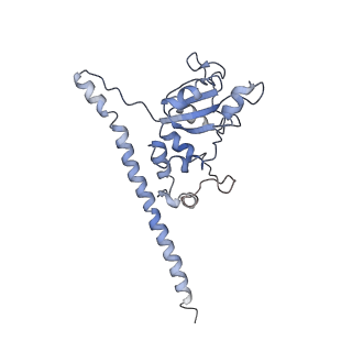 12631_7nwg_F3_v1-2
Mammalian pre-termination 80S ribosome with Hybrid P/E- and A/P-site tRNA's bound by Blasticidin S.