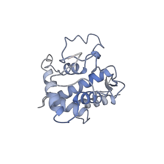 12631_7nwg_G2_v1-2
Mammalian pre-termination 80S ribosome with Hybrid P/E- and A/P-site tRNA's bound by Blasticidin S.