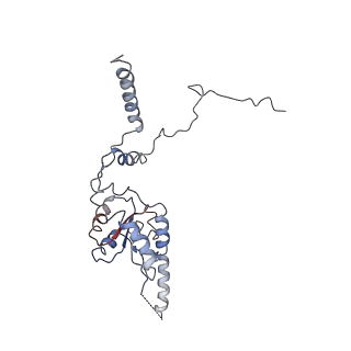 12631_7nwg_G3_v1-2
Mammalian pre-termination 80S ribosome with Hybrid P/E- and A/P-site tRNA's bound by Blasticidin S.
