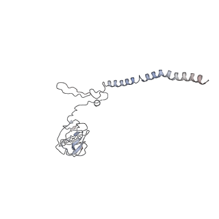 12631_7nwg_H2_v1-2
Mammalian pre-termination 80S ribosome with Hybrid P/E- and A/P-site tRNA's bound by Blasticidin S.