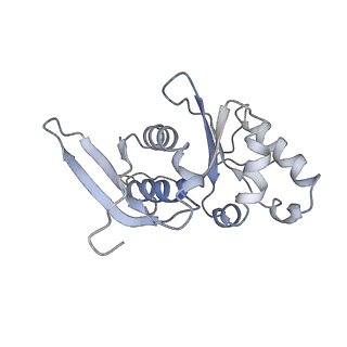 12631_7nwg_I2_v1-2
Mammalian pre-termination 80S ribosome with Hybrid P/E- and A/P-site tRNA's bound by Blasticidin S.