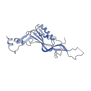 12631_7nwg_I3_v1-2
Mammalian pre-termination 80S ribosome with Hybrid P/E- and A/P-site tRNA's bound by Blasticidin S.