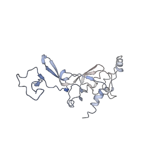12631_7nwg_J2_v1-2
Mammalian pre-termination 80S ribosome with Hybrid P/E- and A/P-site tRNA's bound by Blasticidin S.