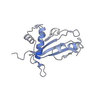 12631_7nwg_J3_v1-2
Mammalian pre-termination 80S ribosome with Hybrid P/E- and A/P-site tRNA's bound by Blasticidin S.