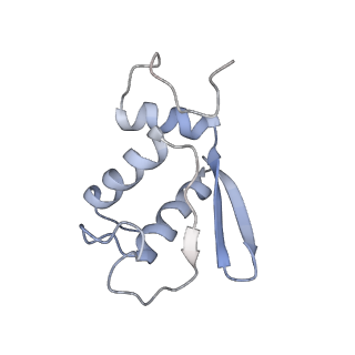 12631_7nwg_L2_v1-2
Mammalian pre-termination 80S ribosome with Hybrid P/E- and A/P-site tRNA's bound by Blasticidin S.