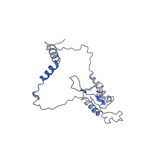 12631_7nwg_L3_v1-2
Mammalian pre-termination 80S ribosome with Hybrid P/E- and A/P-site tRNA's bound by Blasticidin S.