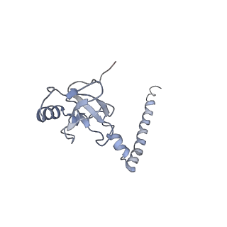 12631_7nwg_M3_v1-2
Mammalian pre-termination 80S ribosome with Hybrid P/E- and A/P-site tRNA's bound by Blasticidin S.