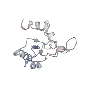 12631_7nwg_N2_v1-2
Mammalian pre-termination 80S ribosome with Hybrid P/E- and A/P-site tRNA's bound by Blasticidin S.