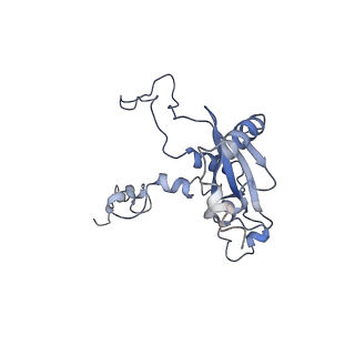 12631_7nwg_N3_v1-2
Mammalian pre-termination 80S ribosome with Hybrid P/E- and A/P-site tRNA's bound by Blasticidin S.