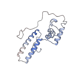 12631_7nwg_O2_v1-2
Mammalian pre-termination 80S ribosome with Hybrid P/E- and A/P-site tRNA's bound by Blasticidin S.