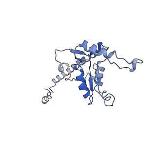 12631_7nwg_O3_v1-2
Mammalian pre-termination 80S ribosome with Hybrid P/E- and A/P-site tRNA's bound by Blasticidin S.