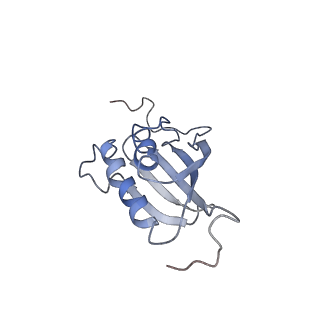 12631_7nwg_P2_v1-2
Mammalian pre-termination 80S ribosome with Hybrid P/E- and A/P-site tRNA's bound by Blasticidin S.
