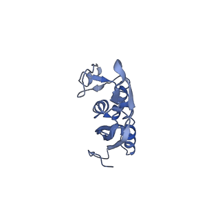 12631_7nwg_P3_v1-2
Mammalian pre-termination 80S ribosome with Hybrid P/E- and A/P-site tRNA's bound by Blasticidin S.