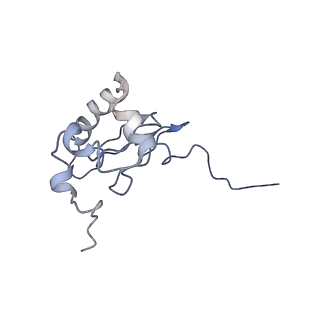 12631_7nwg_Q2_v1-2
Mammalian pre-termination 80S ribosome with Hybrid P/E- and A/P-site tRNA's bound by Blasticidin S.