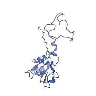 12631_7nwg_Q3_v1-2
Mammalian pre-termination 80S ribosome with Hybrid P/E- and A/P-site tRNA's bound by Blasticidin S.