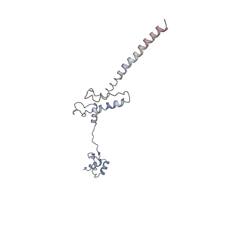 12631_7nwg_R3_v1-2
Mammalian pre-termination 80S ribosome with Hybrid P/E- and A/P-site tRNA's bound by Blasticidin S.