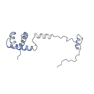 12631_7nwg_S2_v1-2
Mammalian pre-termination 80S ribosome with Hybrid P/E- and A/P-site tRNA's bound by Blasticidin S.