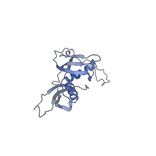 12631_7nwg_S3_v1-2
Mammalian pre-termination 80S ribosome with Hybrid P/E- and A/P-site tRNA's bound by Blasticidin S.