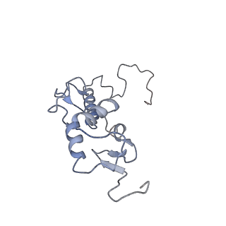 12631_7nwg_T2_v1-2
Mammalian pre-termination 80S ribosome with Hybrid P/E- and A/P-site tRNA's bound by Blasticidin S.