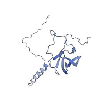 12631_7nwg_T3_v1-2
Mammalian pre-termination 80S ribosome with Hybrid P/E- and A/P-site tRNA's bound by Blasticidin S.