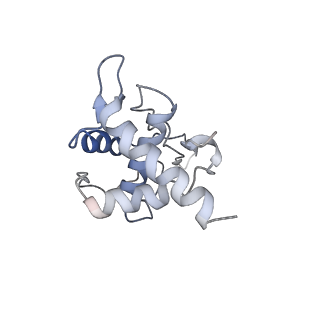 12631_7nwg_U2_v1-2
Mammalian pre-termination 80S ribosome with Hybrid P/E- and A/P-site tRNA's bound by Blasticidin S.