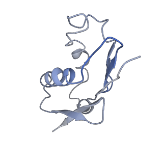12631_7nwg_U3_v1-2
Mammalian pre-termination 80S ribosome with Hybrid P/E- and A/P-site tRNA's bound by Blasticidin S.