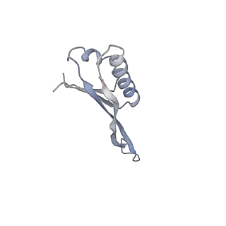 12631_7nwg_V2_v1-2
Mammalian pre-termination 80S ribosome with Hybrid P/E- and A/P-site tRNA's bound by Blasticidin S.