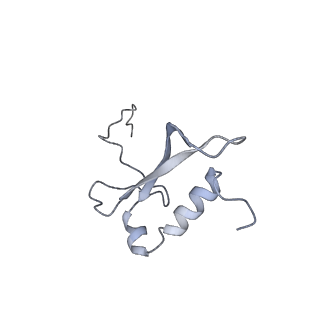 12631_7nwg_W2_v1-2
Mammalian pre-termination 80S ribosome with Hybrid P/E- and A/P-site tRNA's bound by Blasticidin S.