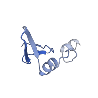 12631_7nwg_W_v1-2
Mammalian pre-termination 80S ribosome with Hybrid P/E- and A/P-site tRNA's bound by Blasticidin S.