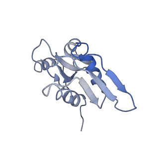 12631_7nwg_X2_v1-2
Mammalian pre-termination 80S ribosome with Hybrid P/E- and A/P-site tRNA's bound by Blasticidin S.
