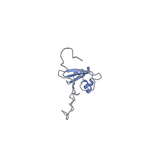 12631_7nwg_X3_v1-2
Mammalian pre-termination 80S ribosome with Hybrid P/E- and A/P-site tRNA's bound by Blasticidin S.