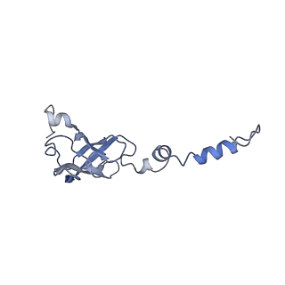 12631_7nwg_Y2_v1-2
Mammalian pre-termination 80S ribosome with Hybrid P/E- and A/P-site tRNA's bound by Blasticidin S.