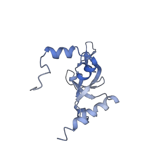 12631_7nwg_Y3_v1-2
Mammalian pre-termination 80S ribosome with Hybrid P/E- and A/P-site tRNA's bound by Blasticidin S.
