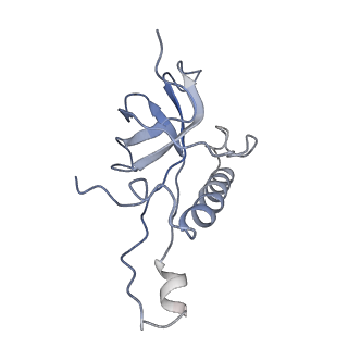 12631_7nwg_Z3_v1-2
Mammalian pre-termination 80S ribosome with Hybrid P/E- and A/P-site tRNA's bound by Blasticidin S.