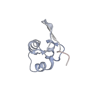 12631_7nwg_a2_v1-2
Mammalian pre-termination 80S ribosome with Hybrid P/E- and A/P-site tRNA's bound by Blasticidin S.