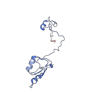 12631_7nwg_a3_v1-2
Mammalian pre-termination 80S ribosome with Hybrid P/E- and A/P-site tRNA's bound by Blasticidin S.