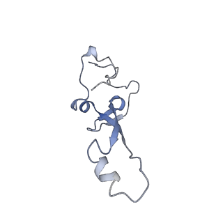 12631_7nwg_b2_v1-2
Mammalian pre-termination 80S ribosome with Hybrid P/E- and A/P-site tRNA's bound by Blasticidin S.