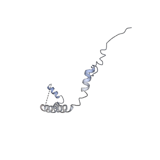 12631_7nwg_b3_v1-2
Mammalian pre-termination 80S ribosome with Hybrid P/E- and A/P-site tRNA's bound by Blasticidin S.
