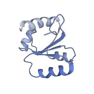 12631_7nwg_c3_v1-2
Mammalian pre-termination 80S ribosome with Hybrid P/E- and A/P-site tRNA's bound by Blasticidin S.