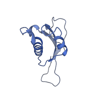 12631_7nwg_d3_v1-2
Mammalian pre-termination 80S ribosome with Hybrid P/E- and A/P-site tRNA's bound by Blasticidin S.