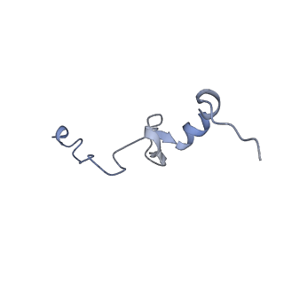 12631_7nwg_e2_v1-2
Mammalian pre-termination 80S ribosome with Hybrid P/E- and A/P-site tRNA's bound by Blasticidin S.