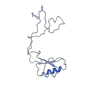 12631_7nwg_e3_v1-2
Mammalian pre-termination 80S ribosome with Hybrid P/E- and A/P-site tRNA's bound by Blasticidin S.