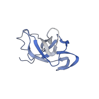 12631_7nwg_f3_v1-2
Mammalian pre-termination 80S ribosome with Hybrid P/E- and A/P-site tRNA's bound by Blasticidin S.